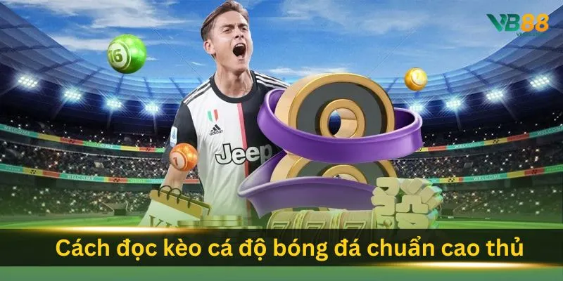 cach-doc-keo-ca-do-bong-da-chuan-cao-thu