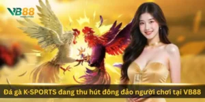 da-ga-k-sports-dang-thu-hut-dong-dao-nguoi-choi-tai-vb88