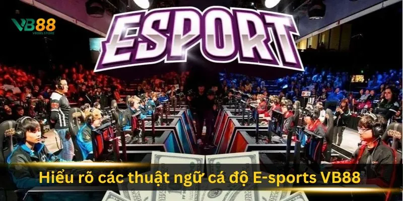 hieu-ro-cac-thuat-ngu-ca-do-e-sports-vb88